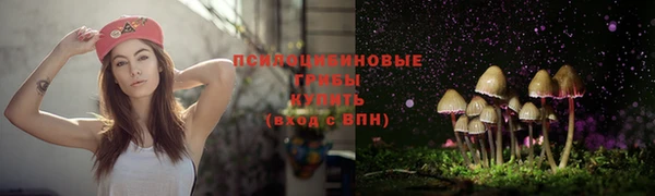 наркотики Елабуга