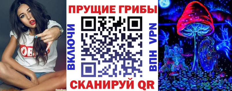 Псилоцибиновые грибы прущие грибы  Рошаль 